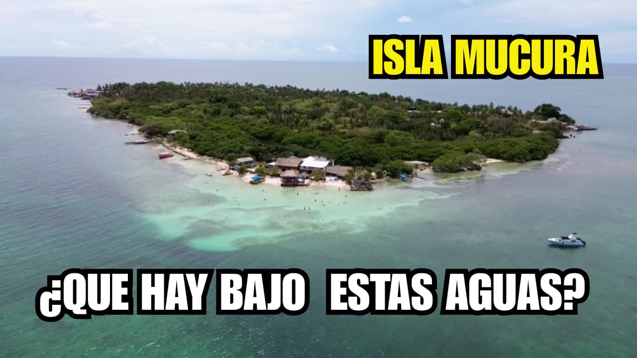 Snorkel en Isla Múcura: Explora su Fondo Marino (Guía 360°)