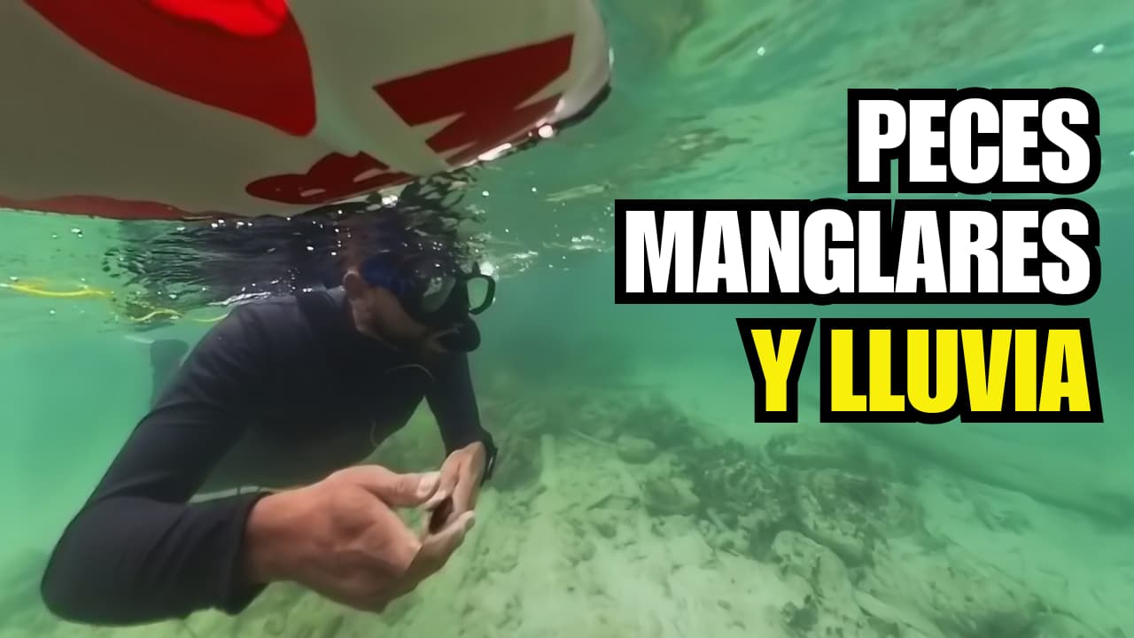 Snorkel en Isla Tintipán bajo la lluvia: Aventura submarina en el Caribe Colombiano