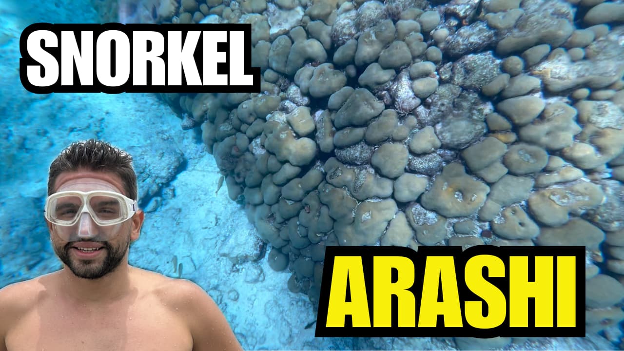 Arashi Beach, Aruba: La Guía Definitiva de Snorkel (2025)