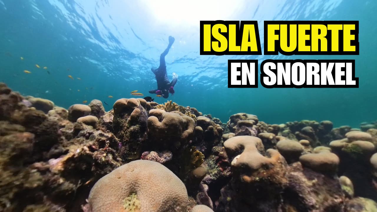 Barrera de Coral en Isla Fuerte 🐠 Un Paraíso para Hacer Snorkel en Colombia