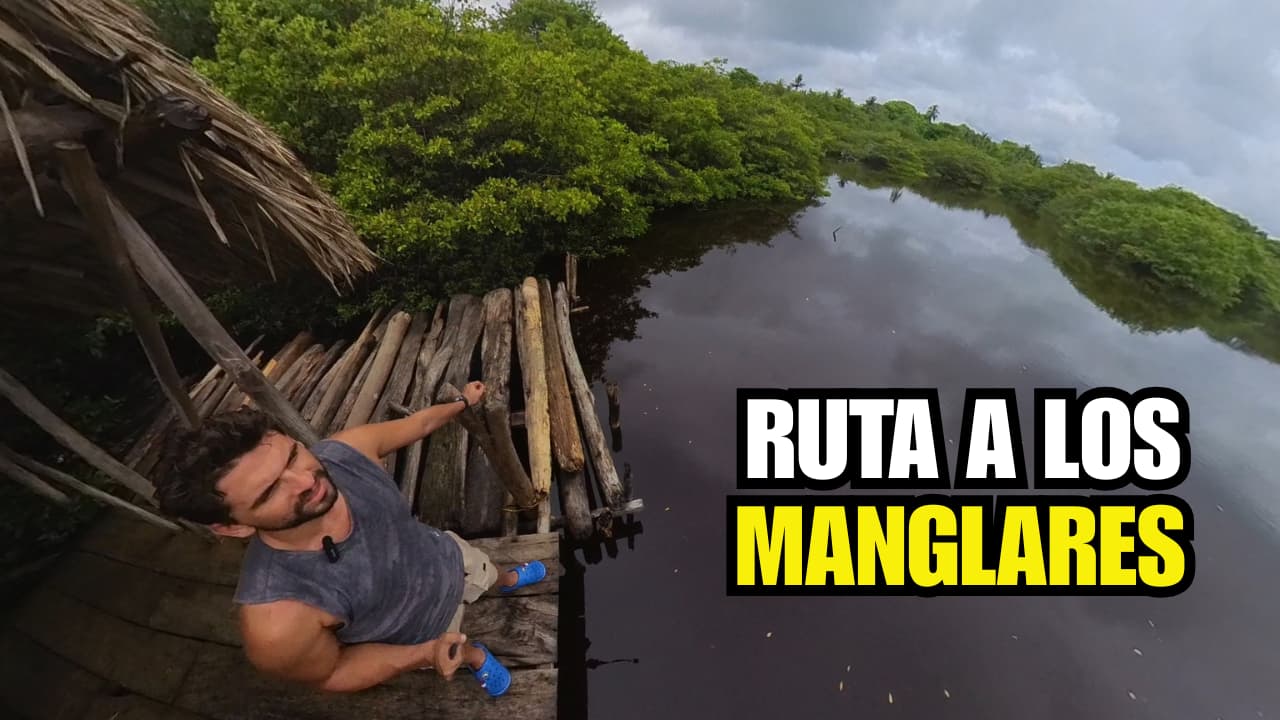 Manglares en Isla Fuerte 🐦🌳 Ruta Secreta para Explorar Naturaleza Viva en el Caribe Colombiano