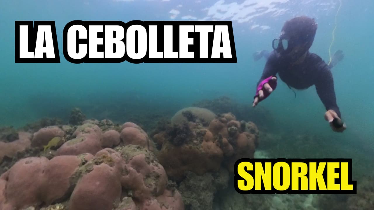 Snorkel en La Cebolleta 🐟 Guía Definitiva en Isla Fuerte