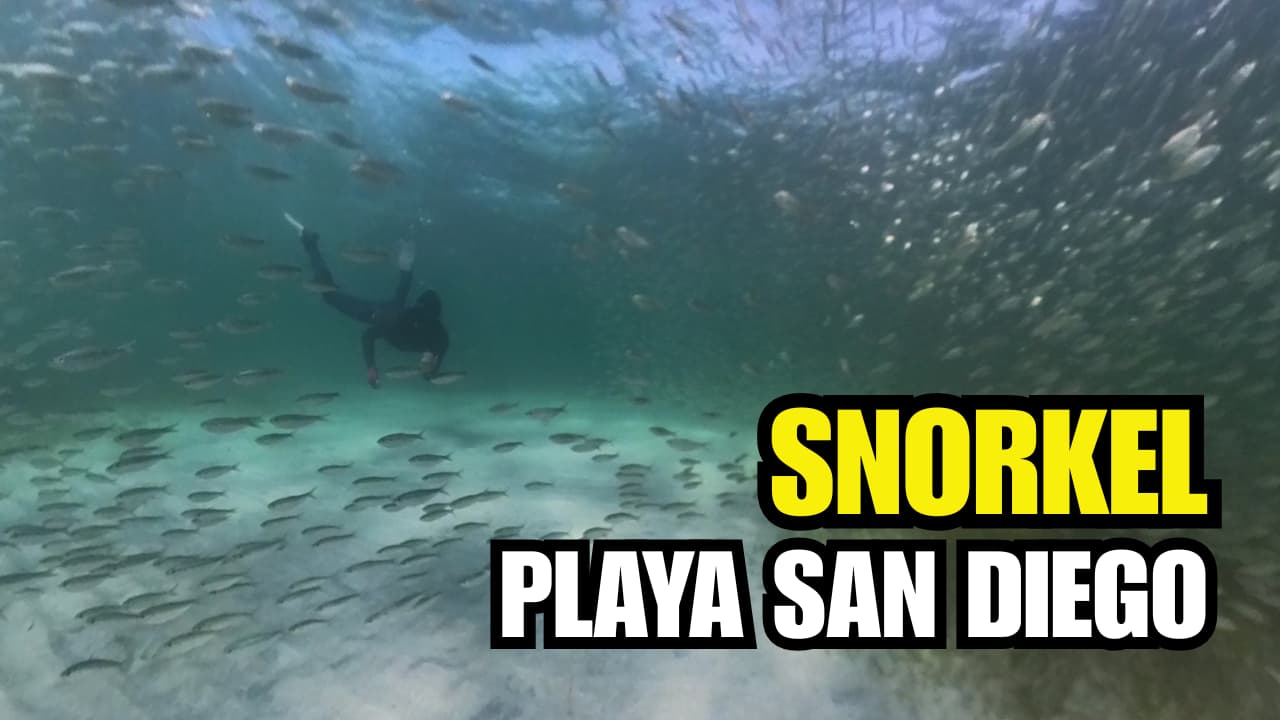 Un MAR DE SARDINAS en la Isla Fuerte 🐟 Snorkel Increíble en Playa San Diego