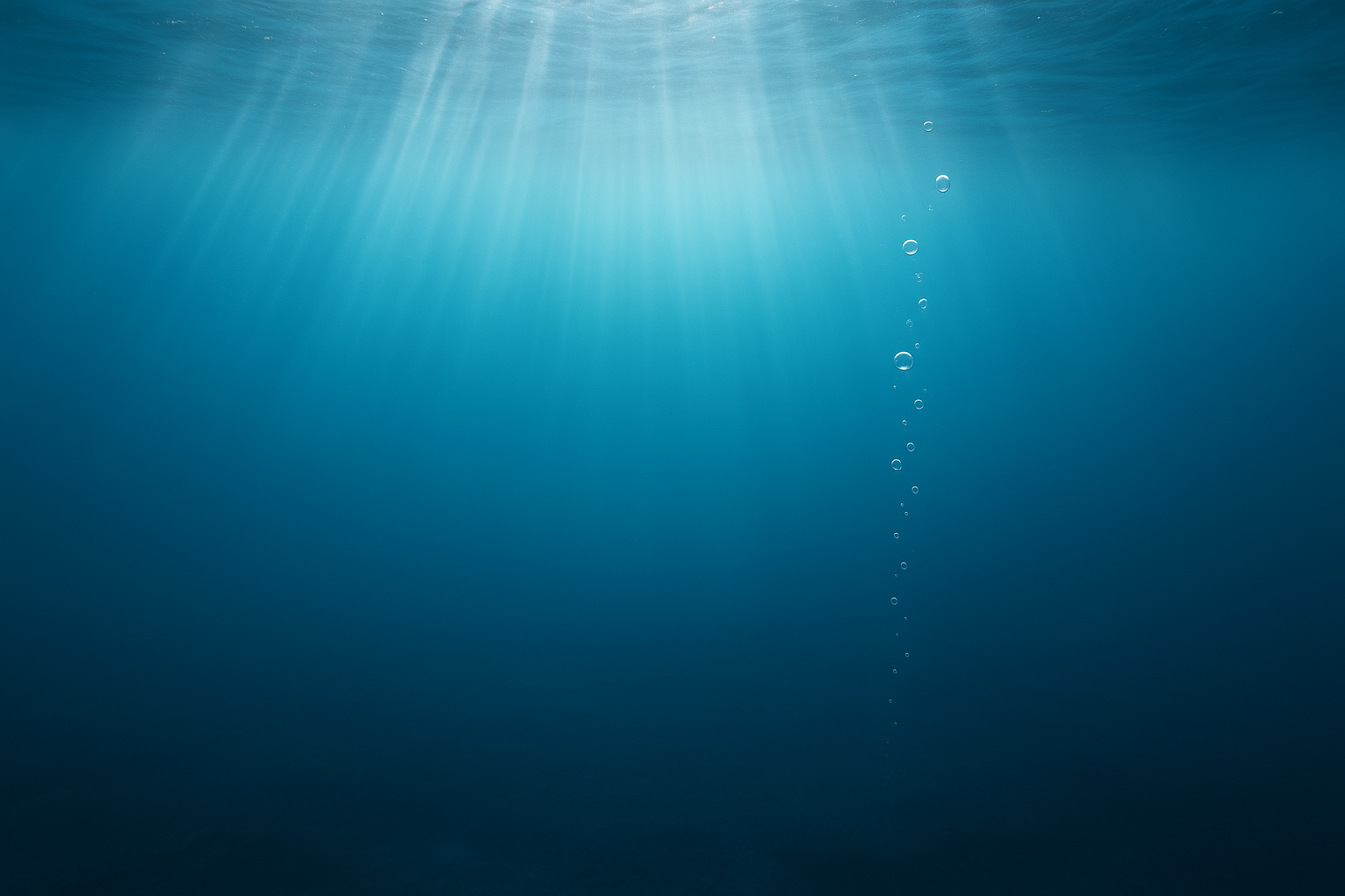 Fondo marino